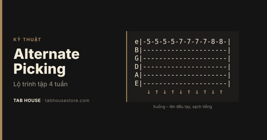 Alternate picking: lộ trình tập 4 tuần cho người mới