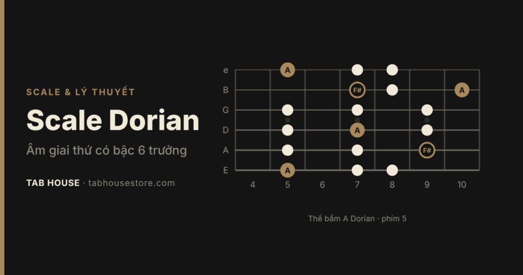 Scale Dorian guitar: là gì, dùng khi nào, tab mẫu