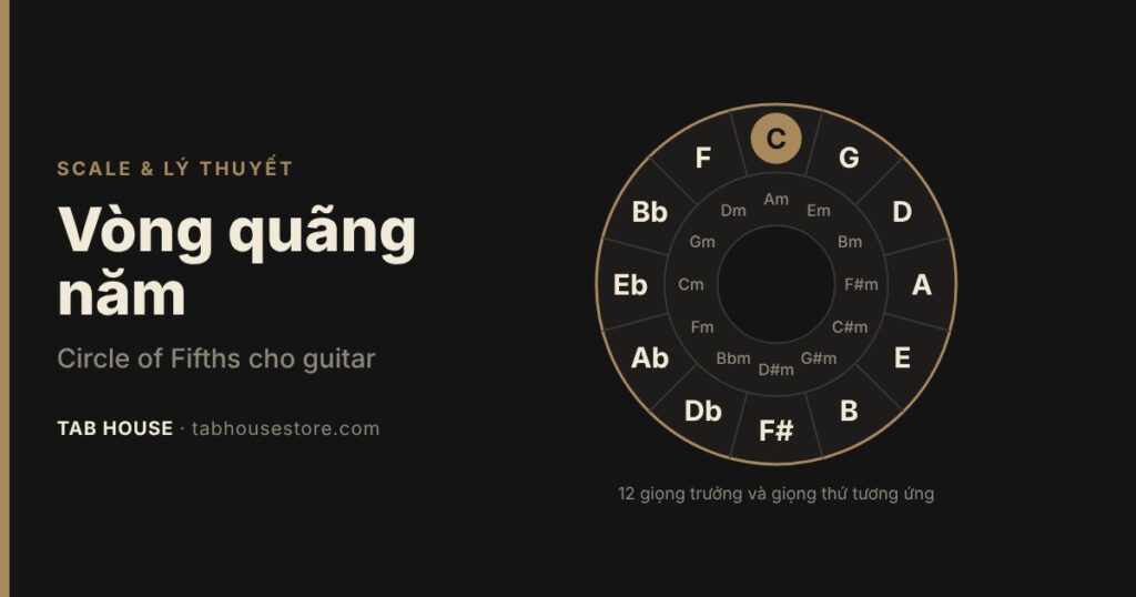 Vòng quãng năm (Circle of Fifths) dễ hiểu cho guitar